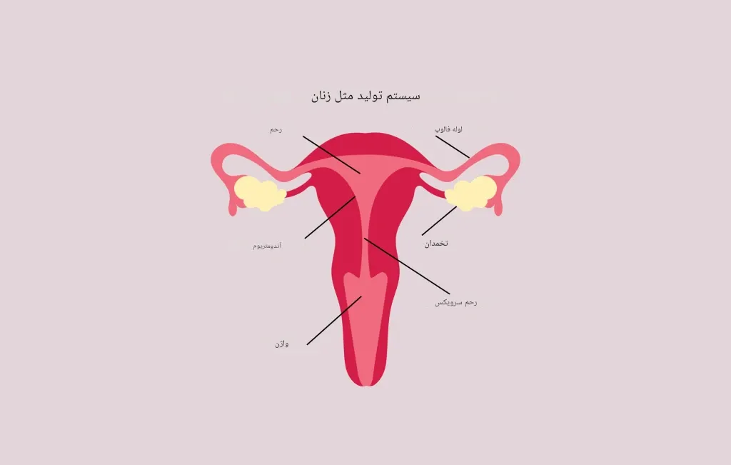 عکس رنگی بدون درد در شهر قدس
