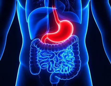 عکس رنگی معده چگونه انجام میشود